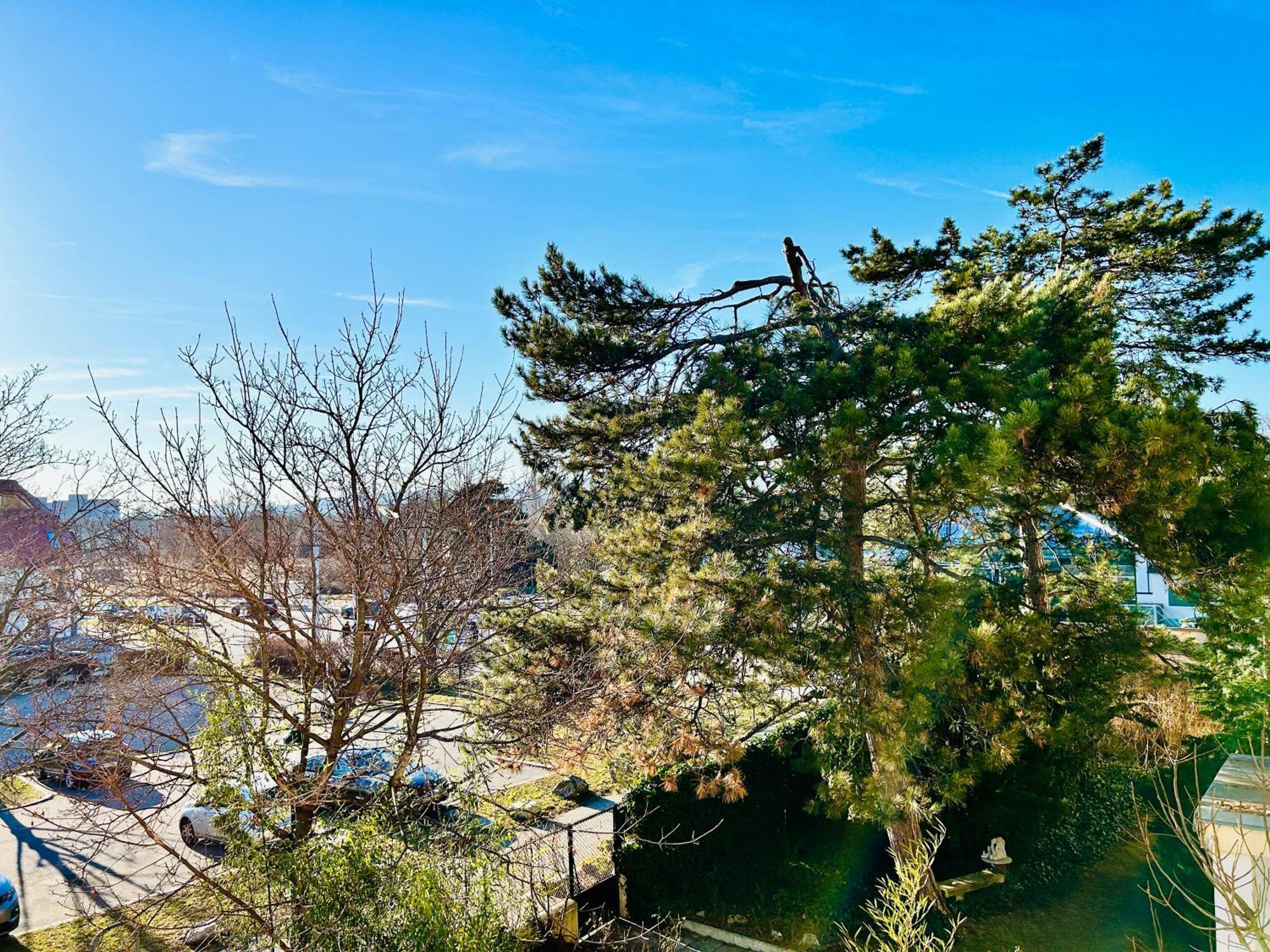 Premium 4 Bedroom Penthouse - Free Parking Apartment Wien